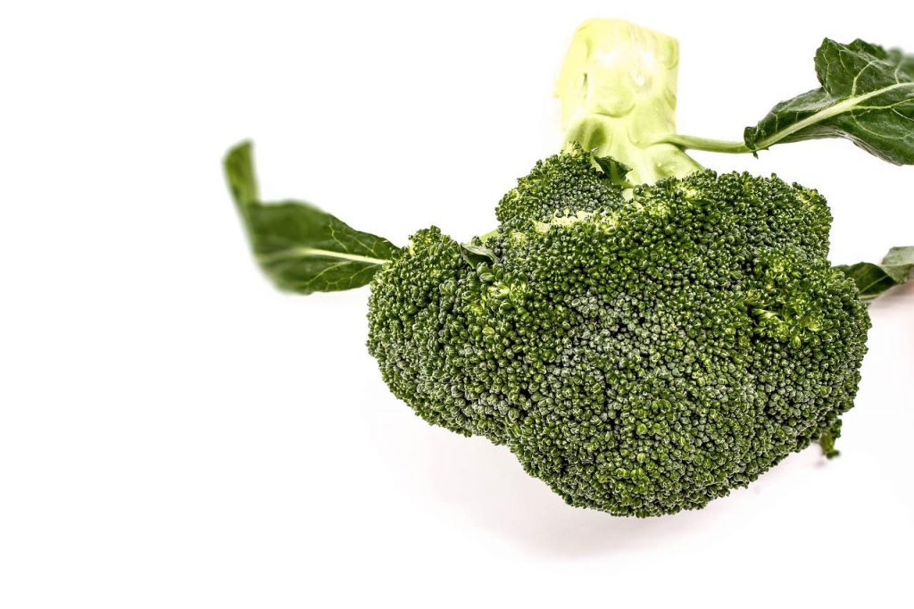 Brokkoli vor weißem Hintergrund.
